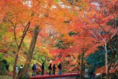 無料壁紙 谷底の赤い橋。PCとデスクトップ壁紙に最適な4K高画質の無料壁紙。三重県四日市市の水沢もみじ谷で撮影したフリー写真素材