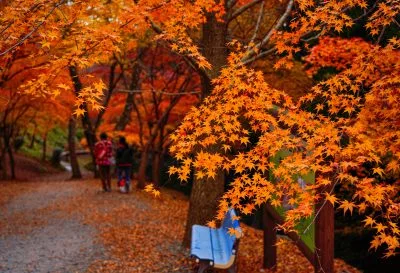 無料壁紙 水沢もみじ谷の入り口付近。PCとデスクトップ壁紙に最適な4K高画質の無料壁紙。三重県四日市市の水沢もみじ谷で撮影したフリー写真素材