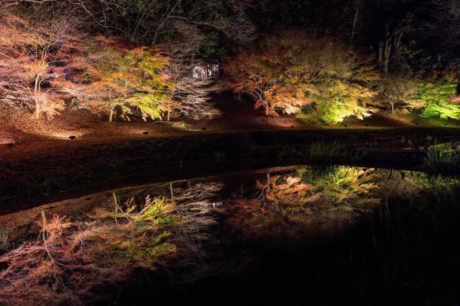 無料壁紙 駐車場近くの紅葉ライトアップのリフレクション。PCとデスクトップ壁紙に最適な4K高画質の無料壁紙。三重県玉城町の田丸城跡で撮影したフリー写真素材