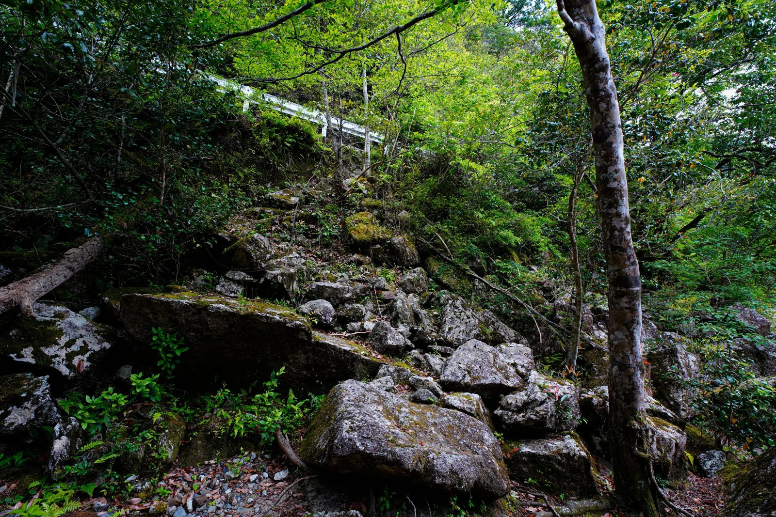 無料壁紙 魚飛渓の出入り口。PCとデスクトップ壁紙に最適な4K高画質の無料壁紙。三重県紀北町の銚子川で撮影したフリー写真素材