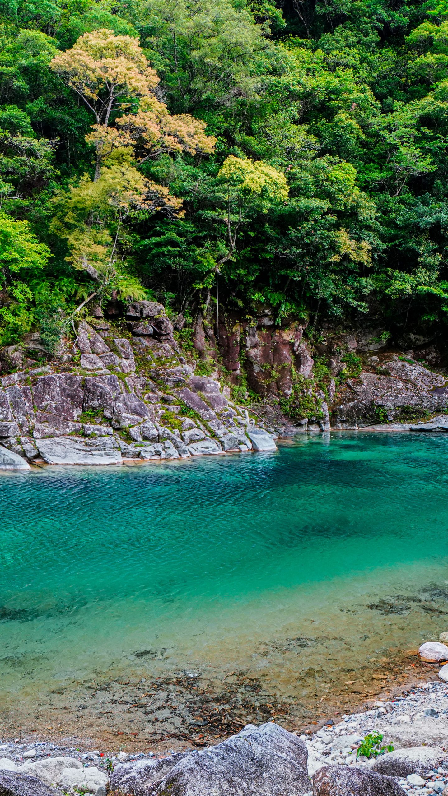 魚飛渓の美しい清流(三重県紀北町・銚子川)
