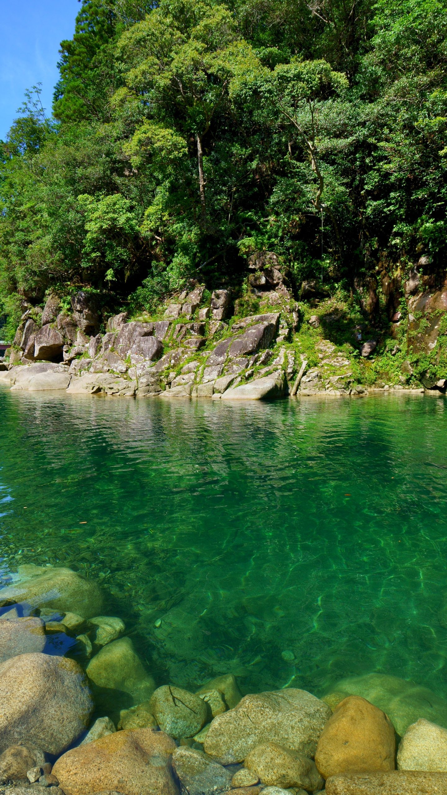 真夏の魚飛渓(三重県紀北町・銚子川)
