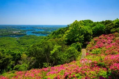 無料壁紙 ツツジと英虞湾。PCとデスクトップ壁紙に最適な4K高画質の無料壁紙。三重県志摩市の横山展望台で撮影したフリー写真素材