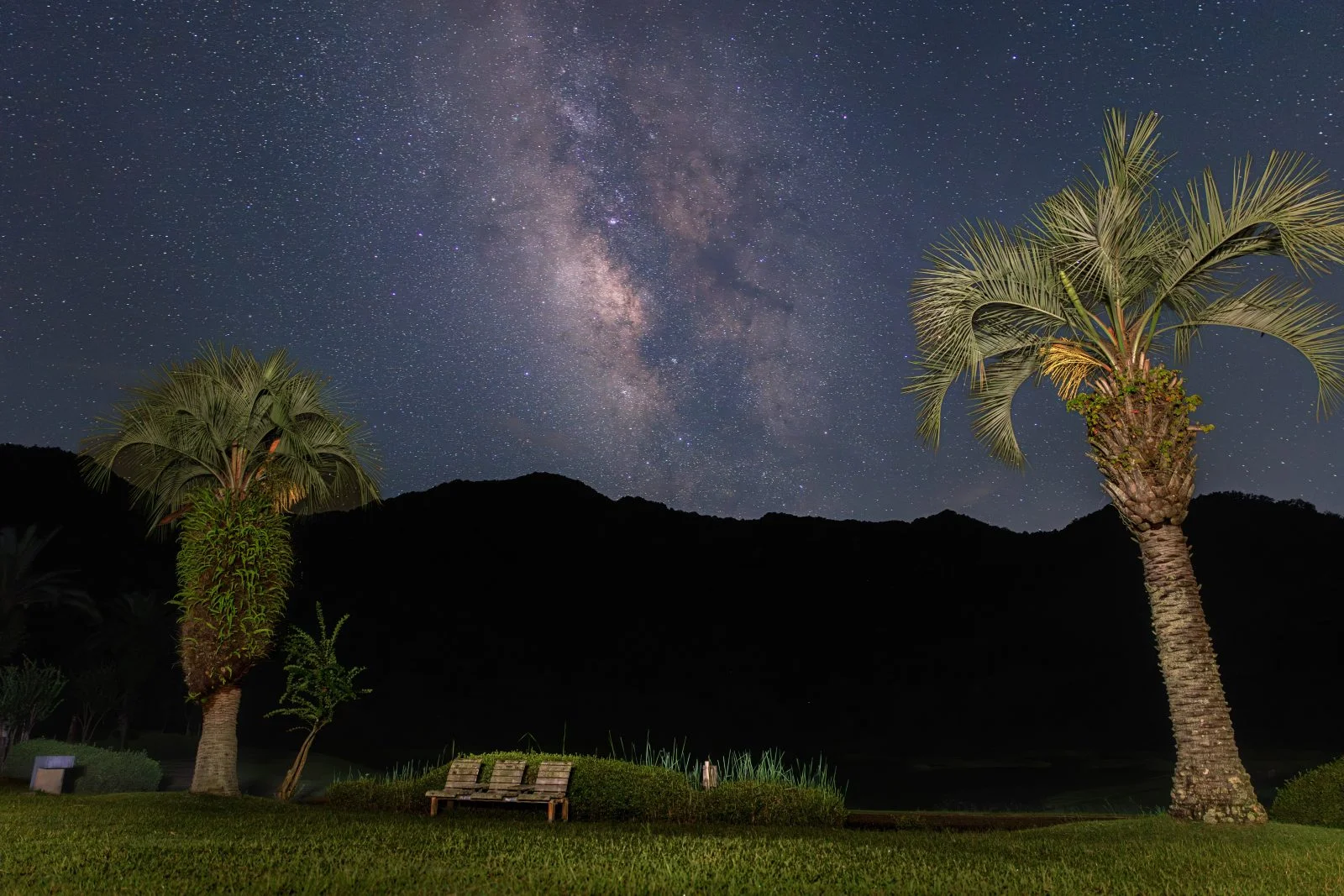 無料壁紙 ヤシの木から見る天の川。PCとデスクトップ壁紙に最適な4K高画質の無料壁紙。三重県紀北町の大白公園で撮影したフリー写真素材