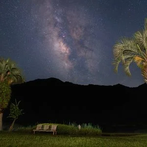 無料壁紙 ヤシの木から見る天の川。PCとデスクトップ壁紙に最適な4K高画質の無料壁紙。三重県紀北町の大白公園で撮影したフリー写真素材