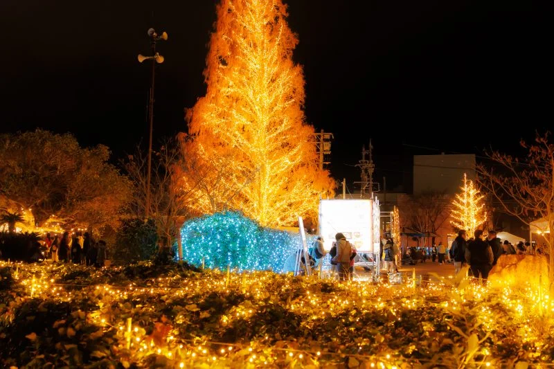 無料壁紙 マルシェで賑わう広場。PCとデスクトップ壁紙に最適な4K高画質の無料壁紙。三重県松阪市の鈴の森公園で撮影したフリー写真素材