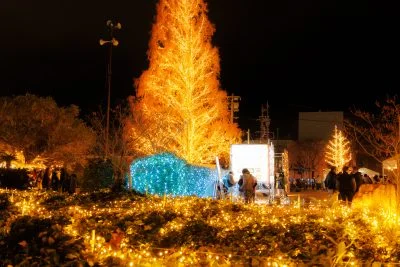 無料壁紙 マルシェで賑わう広場。PCとデスクトップ壁紙に最適な4K高画質の無料壁紙。三重県松阪市の鈴の森公園で撮影したフリー写真素材