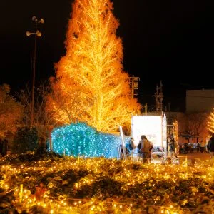 鈴の森公園のフリー写真素材