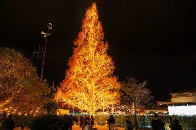 無料壁紙 松阪の一夜 クリスマスライトアップ。PCとデスクトップ壁紙に最適な4K高画質の無料壁紙。三重県松阪市の鈴の森公園で撮影したフリー写真素材