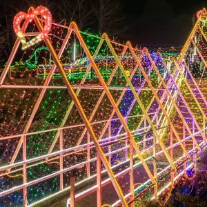 光の祭典 in 紀宝のフリー写真素材