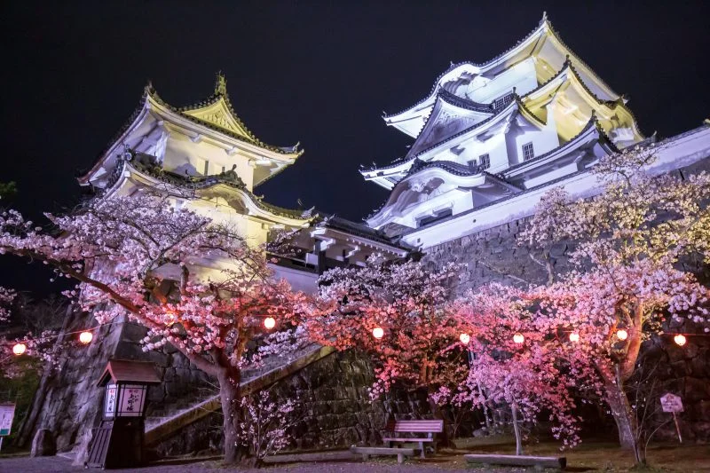 無料壁紙 夜桜ライトアップ。PCとデスクトップ壁紙に最適な4K高画質の無料壁紙。三重県伊賀市の伊賀上野城で撮影したフリー写真素材