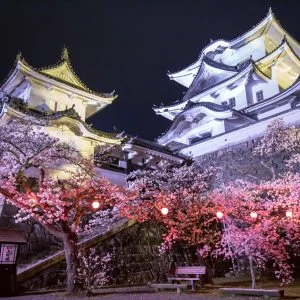 無料壁紙 夜桜ライトアップ。PCとデスクトップ壁紙に最適な4K高画質の無料壁紙。三重県伊賀市の伊賀上野城で撮影したフリー写真素材