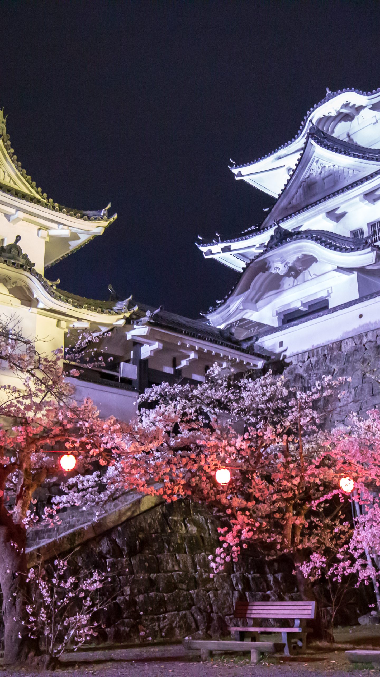 夜桜ライトアップ(三重県伊賀市・伊賀上野城)