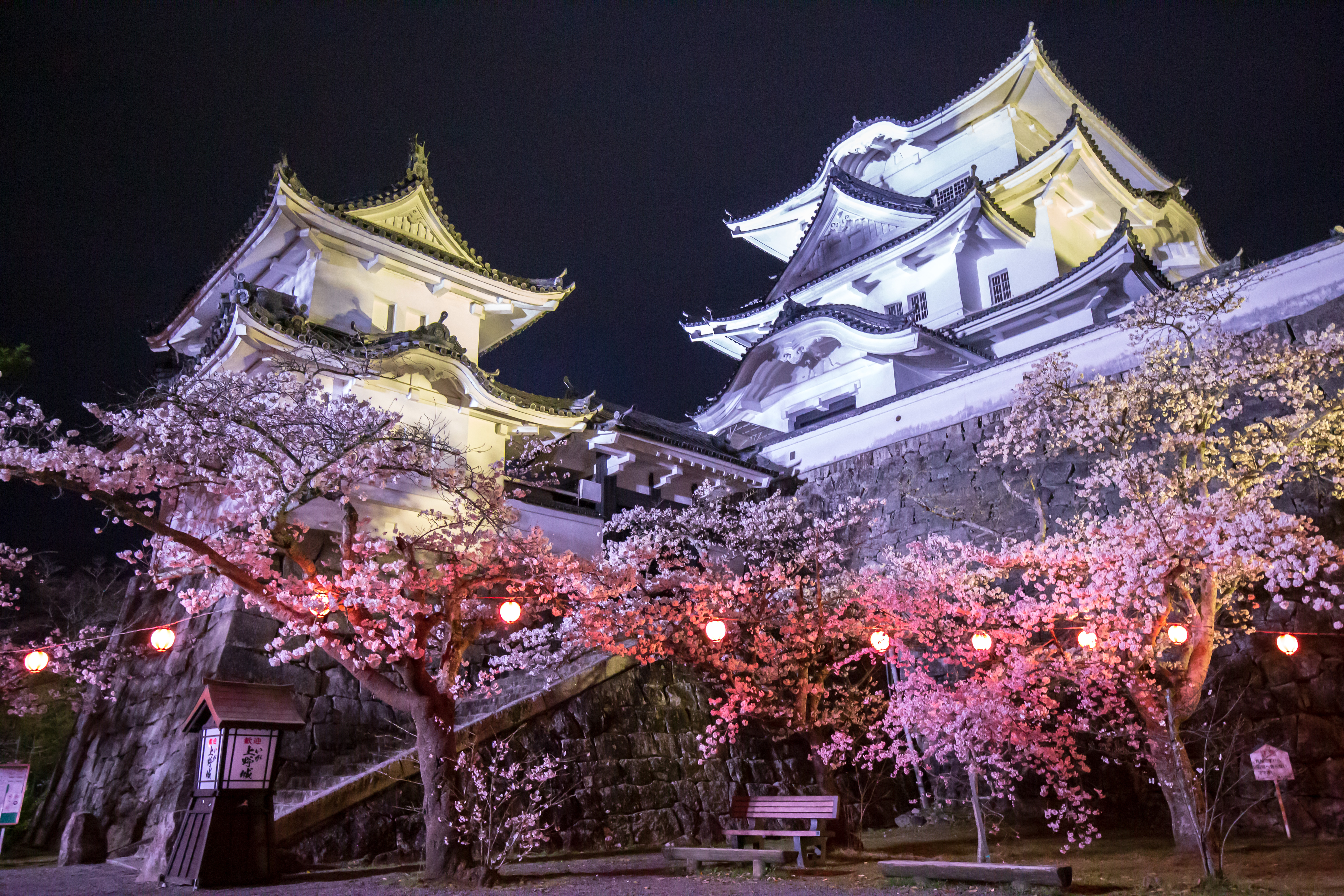 無料壁紙 夜桜ライトアップ。PCとデスクトップ壁紙に最適な4K高画質の無料壁紙。三重県伊賀市の伊賀上野城で撮影したフリー写真素材