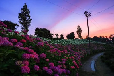 無料壁紙 恋のウェーブと夕焼け。PCとデスクトップ壁紙に最適な4K高画質の無料壁紙。三重県津市のかざはやの里で撮影したフリー写真素材