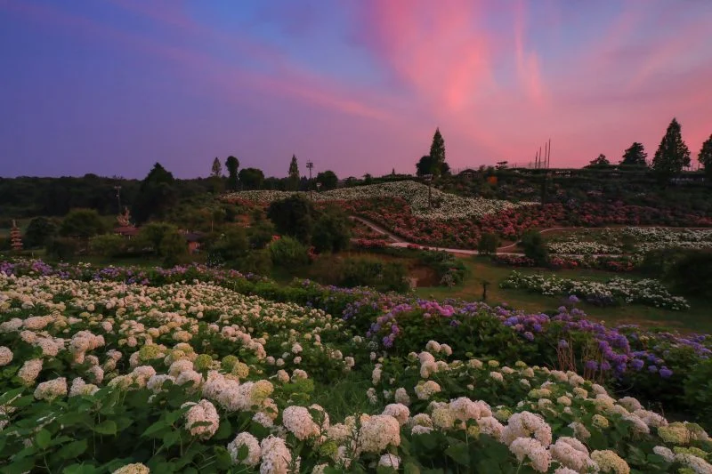 無料壁紙 津ウェーブと恋のウェーブ。PCとデスクトップ壁紙に最適な4K高画質の無料壁紙。三重県津市のかざはやの里で撮影したフリー写真素材