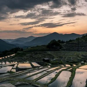 無料壁紙 丸山千枚田の夕景。PCとデスクトップ壁紙に最適な4K高画質の無料壁紙。三重県熊野市の丸山千枚田で撮影したフリー写真素材