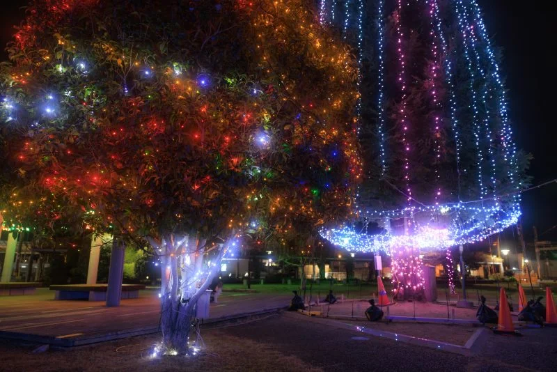 無料壁紙 虹色ツリーと巨大ツリー。PCとデスクトップ壁紙に最適な4K高画質の無料壁紙。三重県津市の緑の風公園（久居駅東口）で撮影したフリー写真素材