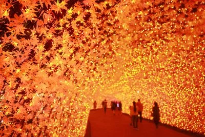 無料壁紙 光のトンネル〜紅葉〜。PCとデスクトップ壁紙に最適な4K高画質の無料壁紙。三重県桑名市のなばなの里で撮影したフリー写真素材