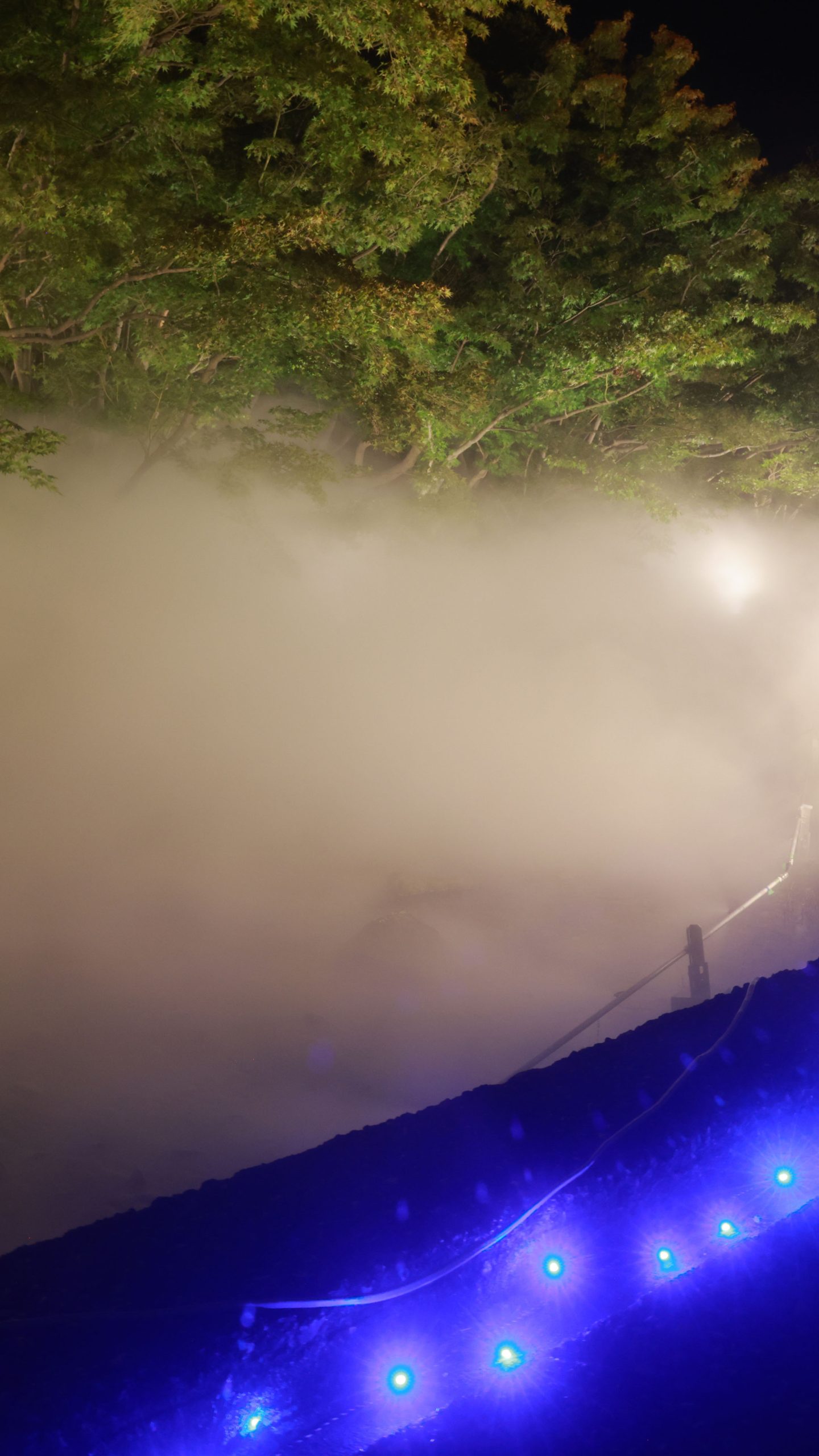 霧に包まれたせせらぎ(三重県桑名市・なばなの里)