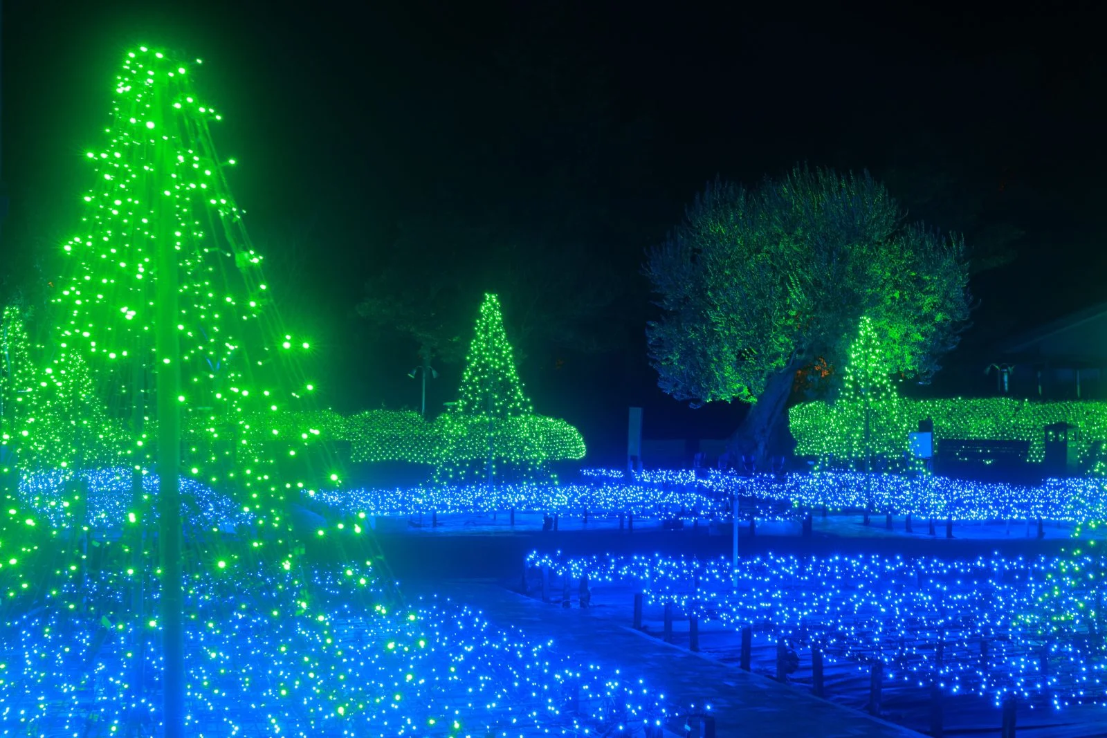 無料壁紙 ミレニアムガーデン「光の森」。PCとデスクトップ壁紙に最適な4K高画質の無料壁紙。三重県桑名市のなばなの里で撮影したフリー写真素材