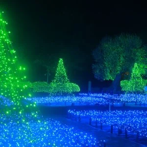 無料壁紙 ミレニアムガーデン「光の森」。PCとデスクトップ壁紙に最適な4K高画質の無料壁紙。三重県桑名市のなばなの里で撮影したフリー写真素材