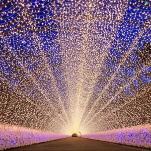 無料壁紙 点灯してすぐの光のトンネル。PCとデスクトップ壁紙に最適な4K高画質の無料壁紙。三重県桑名市のなばなの里で撮影したフリー写真素材