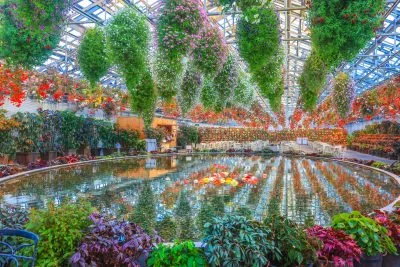 無料壁紙 ベゴニアガーデンの大温室。PCとデスクトップ壁紙に最適な4K高画質の無料壁紙。三重県桑名市のなばなの里で撮影したフリー写真素材