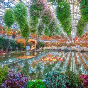 無料壁紙 ベゴニアガーデンの大温室。PCとデスクトップ壁紙に最適な4K高画質の無料壁紙。三重県桑名市のなばなの里で撮影したフリー写真素材