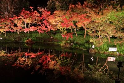 無料壁紙 鏡池に映る紅葉。PCとデスクトップ壁紙に最適な4K高画質の無料壁紙。三重県桑名市のなばなの里で撮影したフリー写真素材