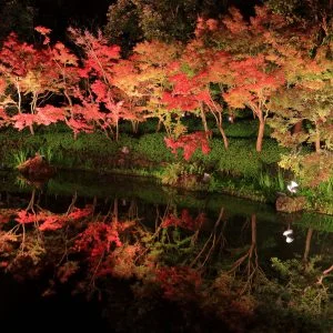 無料壁紙 鏡池に映る紅葉。PCとデスクトップ壁紙に最適な4K高画質の無料壁紙。三重県桑名市のなばなの里で撮影したフリー写真素材