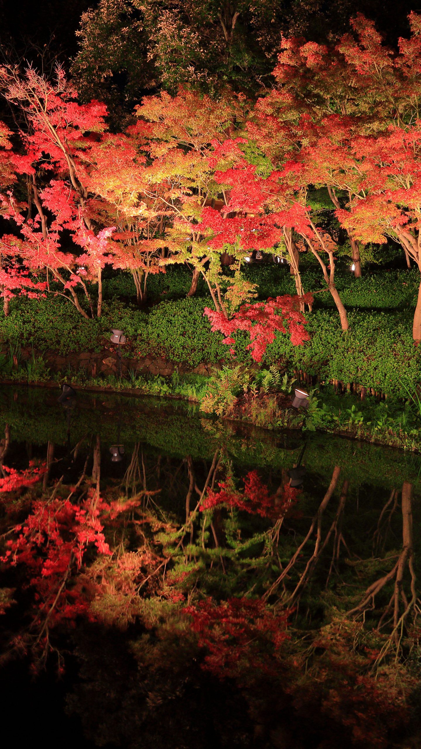 無料壁紙 鏡池に映る紅葉。PCとデスクトップ壁紙に最適な4K高画質の無料壁紙。三重県桑名市のなばなの里で撮影したフリー写真素材