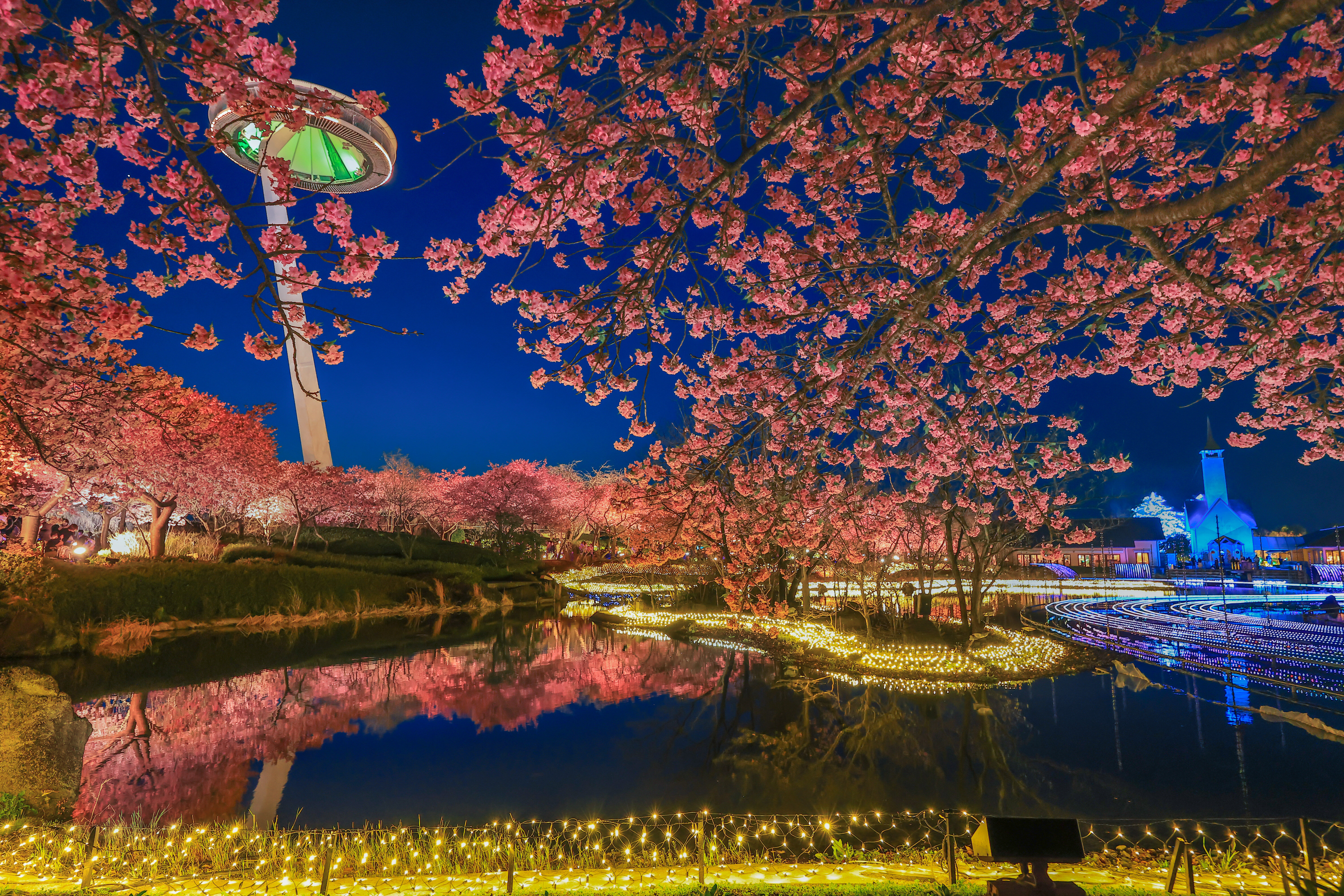 無料壁紙 河津桜とアイランド富士と光の大河。PCとデスクトップ壁紙に最適な4K高画質の無料壁紙。三重県桑名市のなばなの里で撮影したフリー写真素材