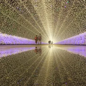 なばなの里のフリー写真素材