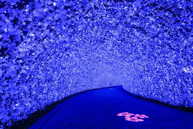 無料壁紙 海さくら「青のトンネル」。PCとデスクトップ壁紙に最適な4K高画質の無料壁紙。三重県桑名市のなばなの里で撮影したフリー写真素材