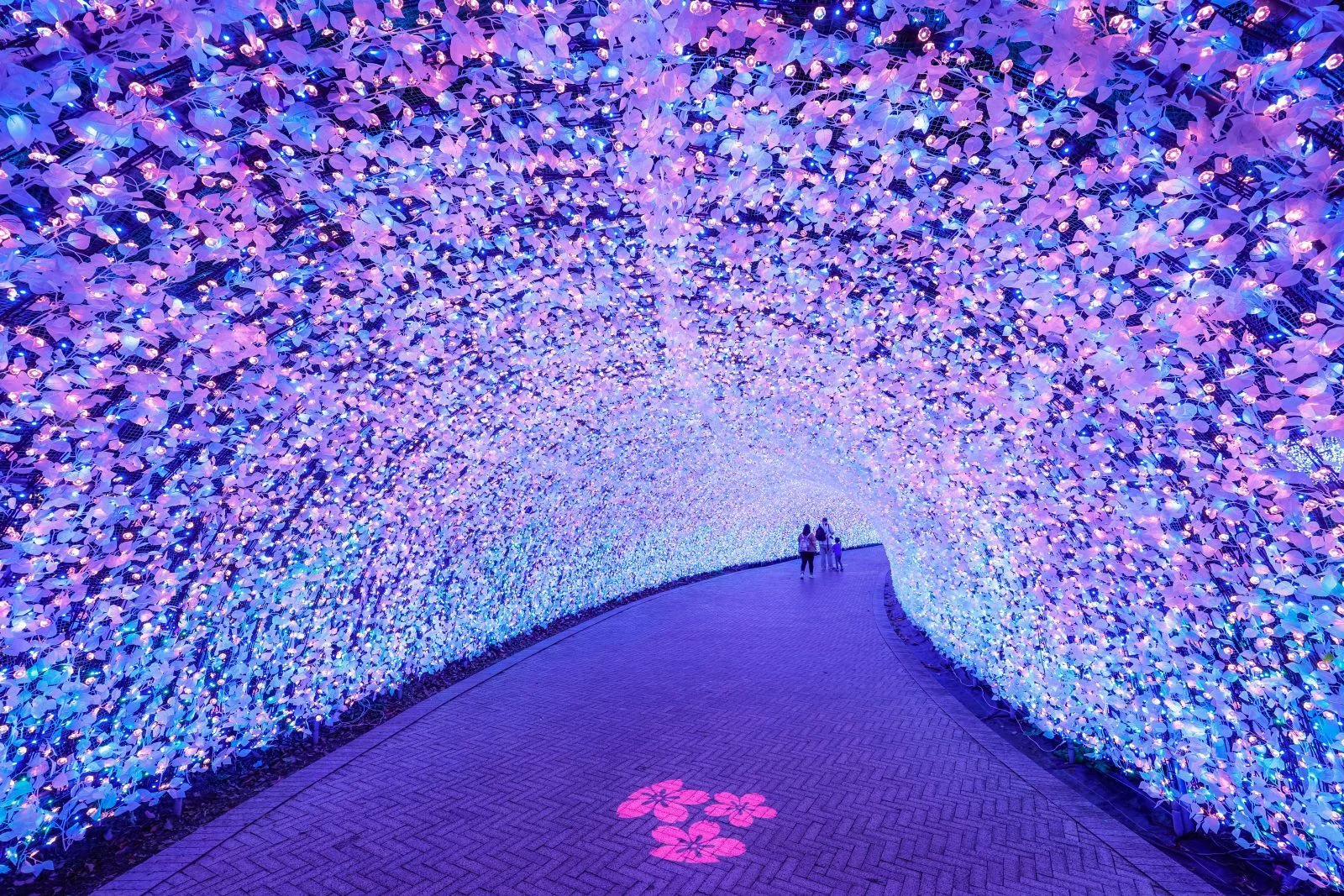 無料壁紙 海さくら「青＆ピンクのトンネル」。PCとデスクトップ壁紙に最適な4K高画質の無料壁紙。三重県桑名市のなばなの里で撮影したフリー写真素材