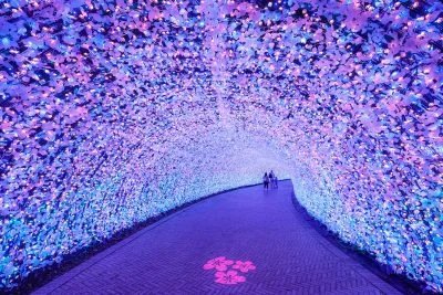 無料壁紙 海さくら「青＆ピンクのトンネル」。PCとデスクトップ壁紙に最適な4K高画質の無料壁紙。三重県桑名市のなばなの里で撮影したフリー写真素材