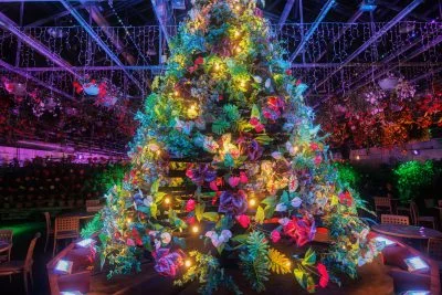 無料壁紙 巨大なクリスマスツリー。PCとデスクトップ壁紙に最適な4K高画質の無料壁紙。三重県桑名市のなばなの里で撮影したフリー写真素材