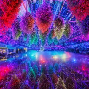 無料壁紙 特別演出のライトアップ。PCとデスクトップ壁紙に最適な4K高画質の無料壁紙。三重県桑名市のなばなの里で撮影したフリー写真素材