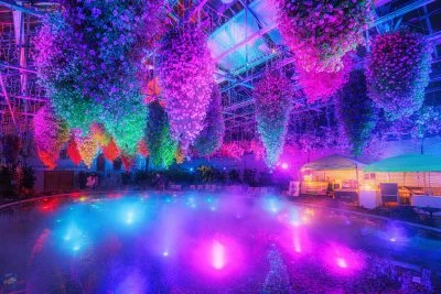 無料壁紙 青紫のライトアップと霧に包まれる大温室。PCとデスクトップ壁紙に最適な4K高画質の無料壁紙。三重県桑名市のなばなの里で撮影したフリー写真素材