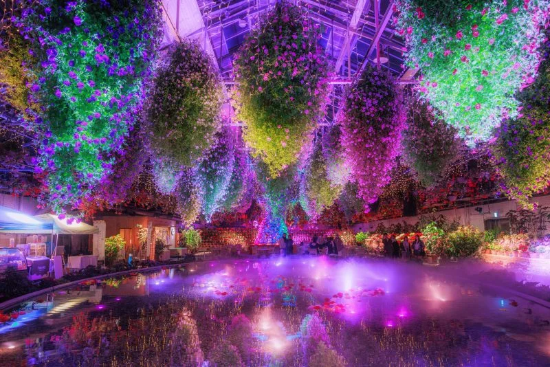 無料壁紙 青紫にライトアップされる大温室。PCとデスクトップ壁紙に最適な4K高画質の無料壁紙。三重県桑名市のなばなの里で撮影したフリー写真素材