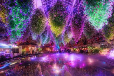 無料壁紙 青紫にライトアップされる大温室。PCとデスクトップ壁紙に最適な4K高画質の無料壁紙。三重県桑名市のなばなの里で撮影したフリー写真素材