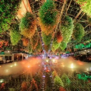 無料壁紙 緑にライトアップされる大温室。PCとデスクトップ壁紙に最適な4K高画質の無料壁紙。三重県桑名市のなばなの里で撮影したフリー写真素材