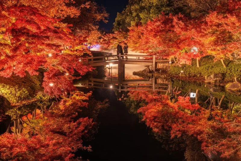 無料壁紙 鏡池の紅葉ライトアップを橋から眺める人。PCとデスクトップ壁紙に最適な4K高画質の無料壁紙。三重県桑名市のなばなの里で撮影したフリー写真素材