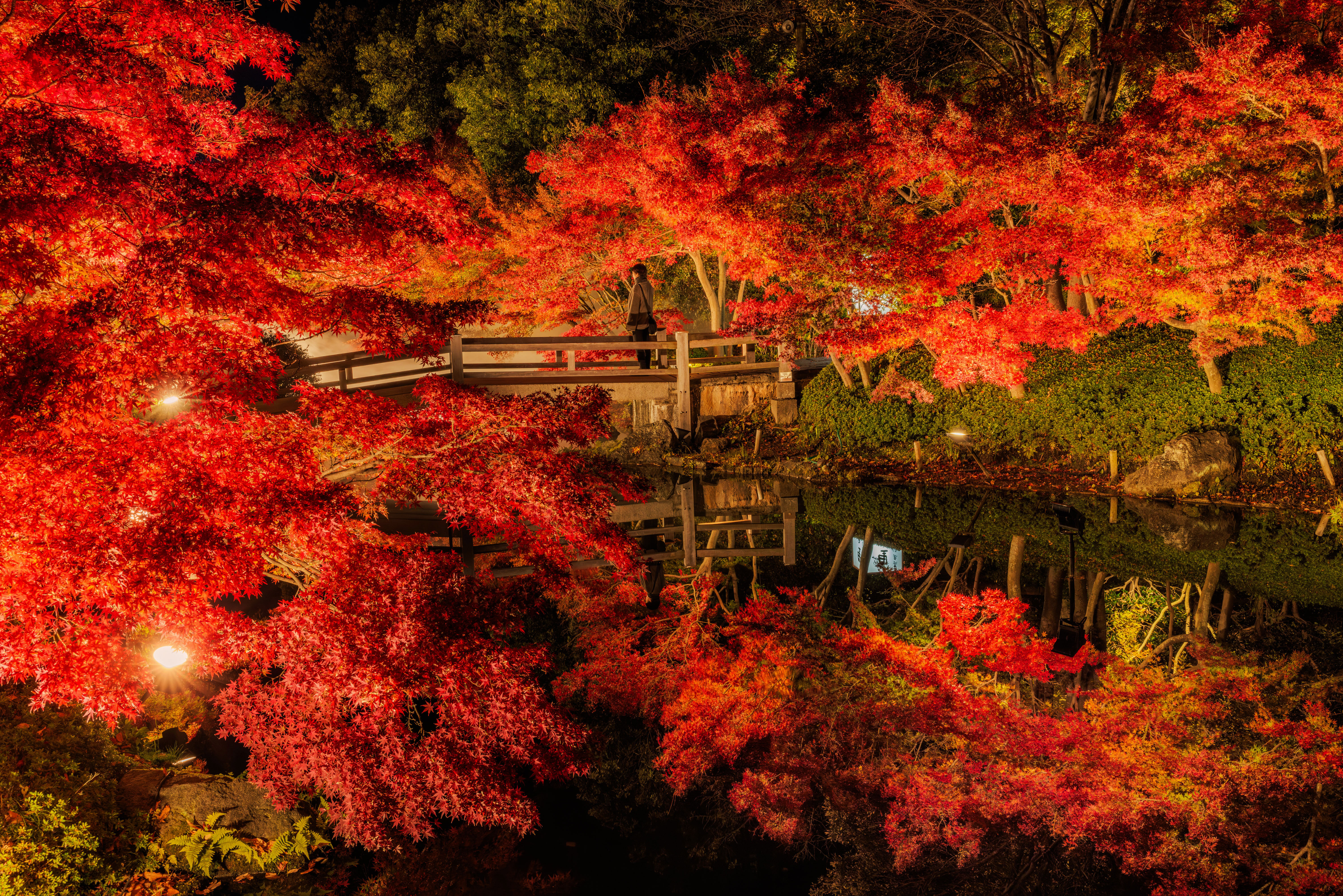無料壁紙 鏡池の紅葉ライトアップ(2024年版)。PCとデスクトップ壁紙に最適な4K高画質の無料壁紙。三重県桑名市のなばなの里で撮影したフリー写真素材