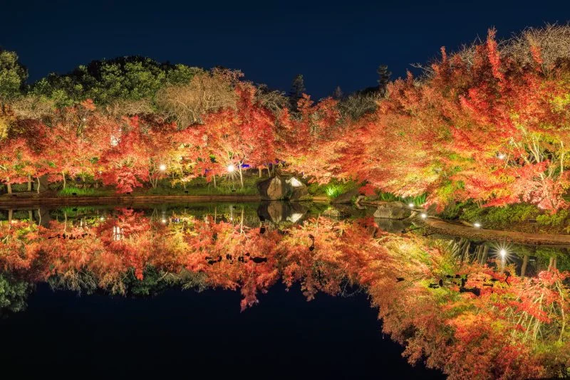 無料壁紙 シンメトリーな紅葉のリフレクション。PCとデスクトップ壁紙に最適な4K高画質の無料壁紙。三重県桑名市のなばなの里で撮影したフリー写真素材