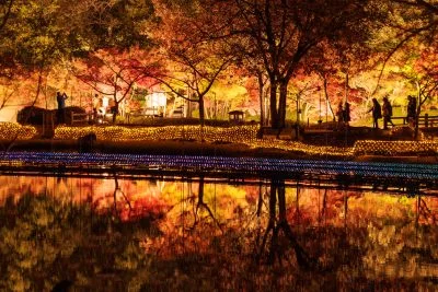 無料壁紙 鏡池の紅葉が水面に映る光景。PCとデスクトップ壁紙に最適な4K高画質の無料壁紙。三重県桑名市のなばなの里で撮影したフリー写真素材
