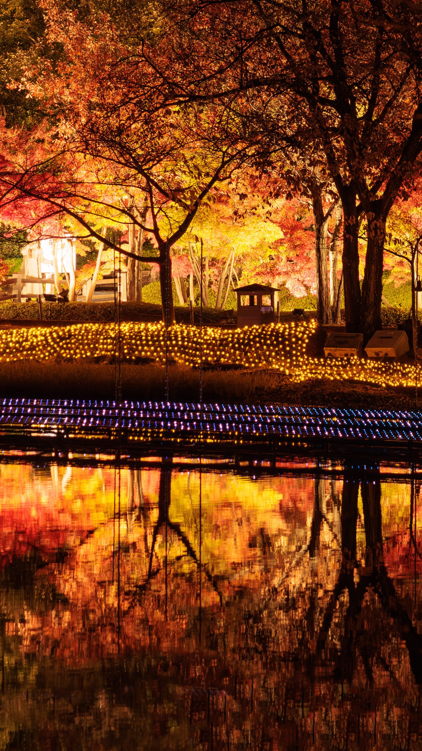 無料壁紙 鏡池の紅葉が水面に映る光景。PCとデスクトップ壁紙に最適な4K高画質の無料壁紙。三重県桑名市のなばなの里で撮影したフリー写真素材