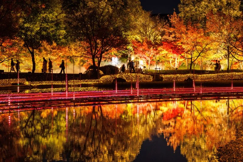 無料壁紙 光の大河の水面に映る紅葉。PCとデスクトップ壁紙に最適な4K高画質の無料壁紙。三重県桑名市のなばなの里で撮影したフリー写真素材