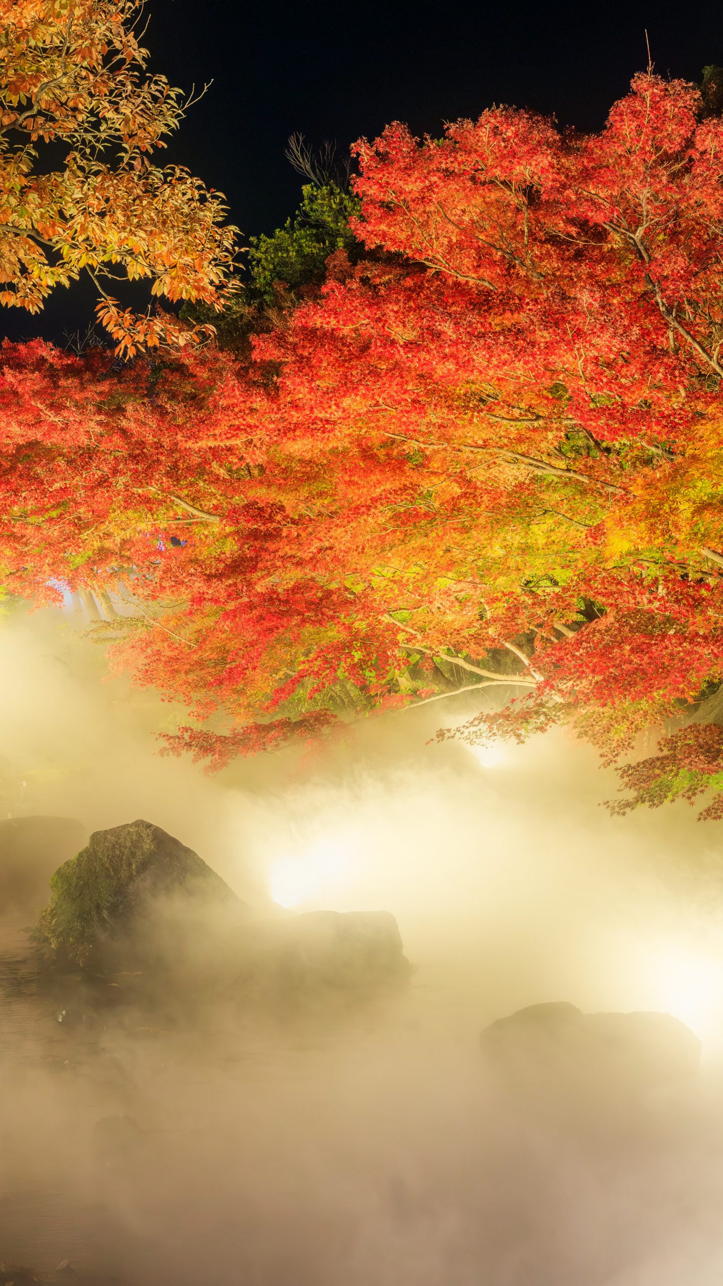 無料壁紙 霧に包まれるせせらぎと紅葉。PCとデスクトップ壁紙に最適な4K高画質の無料壁紙。三重県桑名市のなばなの里で撮影したフリー写真素材